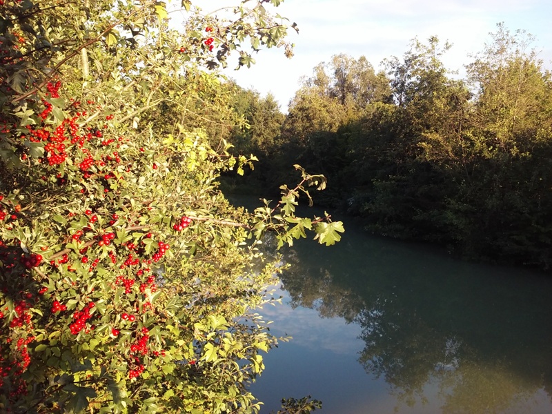 Sommerausklang am Marchfeldkanal