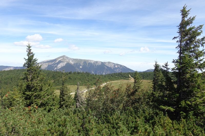 Schneebergblick vom Seeweg