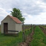 Weinberghütte bei Matzen