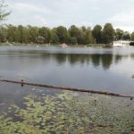 Alte Donau beim Gänsehäufel