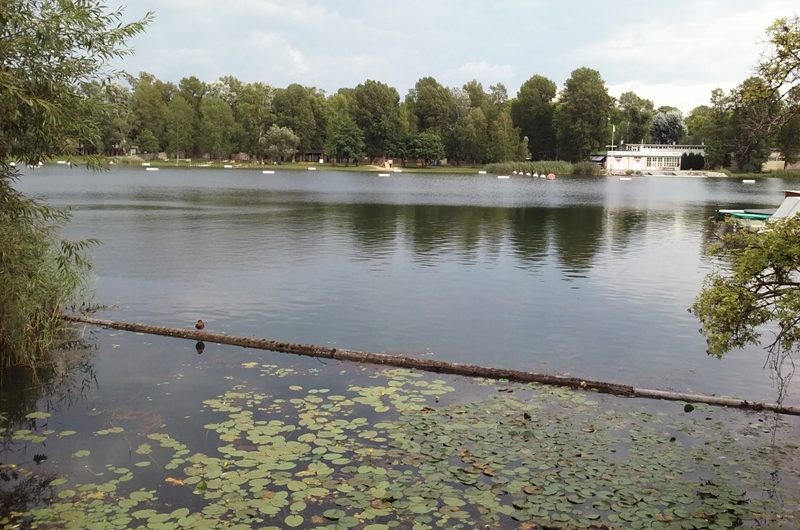 Alte Donau beim Gänsehäufel