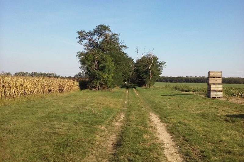 Felder bei Obersiebenbrunn