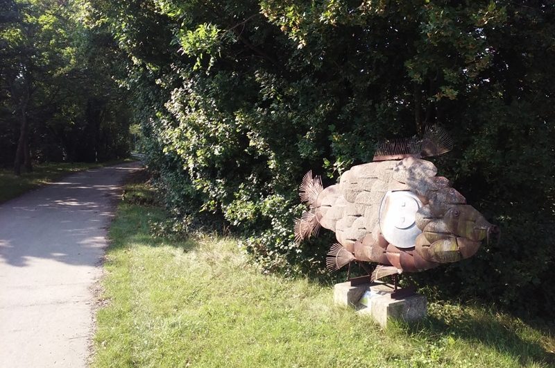 Fisch am Marchfeldkanal