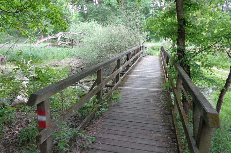 Holzsteg bei Marchegg