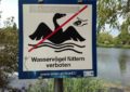 Wasservögel füttern verboten