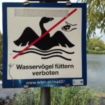 Wasservögel füttern verboten