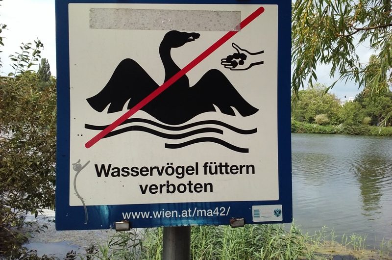 Wasservögel füttern verboten