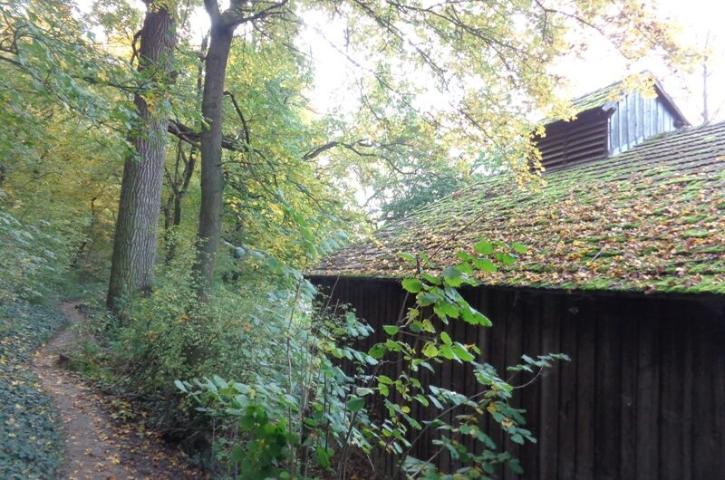 Am Wolkersdorfer Waldlehrpfad