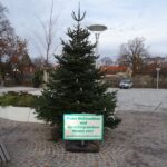 Weihnachtsbaum am neuen Marktplatz