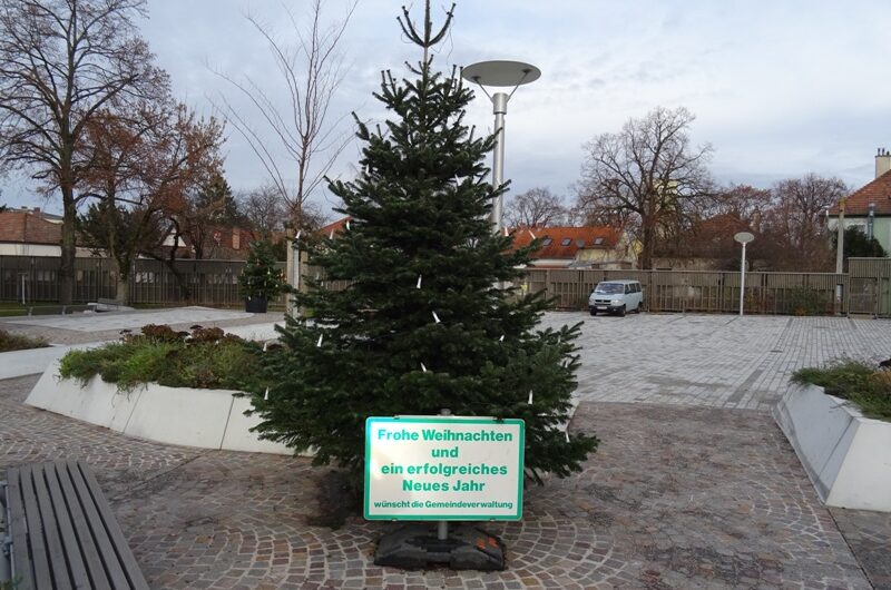 Weihnachtsbaum am neuen Marktplatz