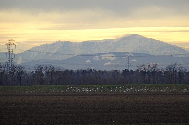 Schneebergblick vom Golfplatz