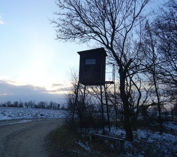 Hochsitz am winterlichen Hochleithenwald