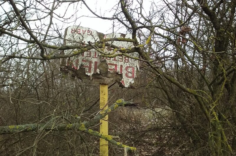 Altes Bienen Warnschild