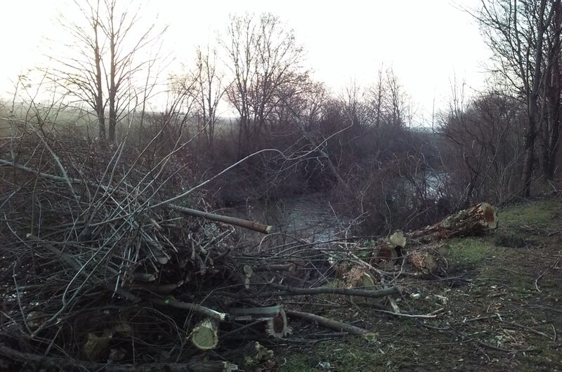 Holzschnitt am Marchfeldkanal