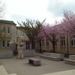 Frühlingsblüten bei der Volksschule