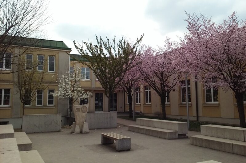 Frühlingsblüten bei der Volksschule