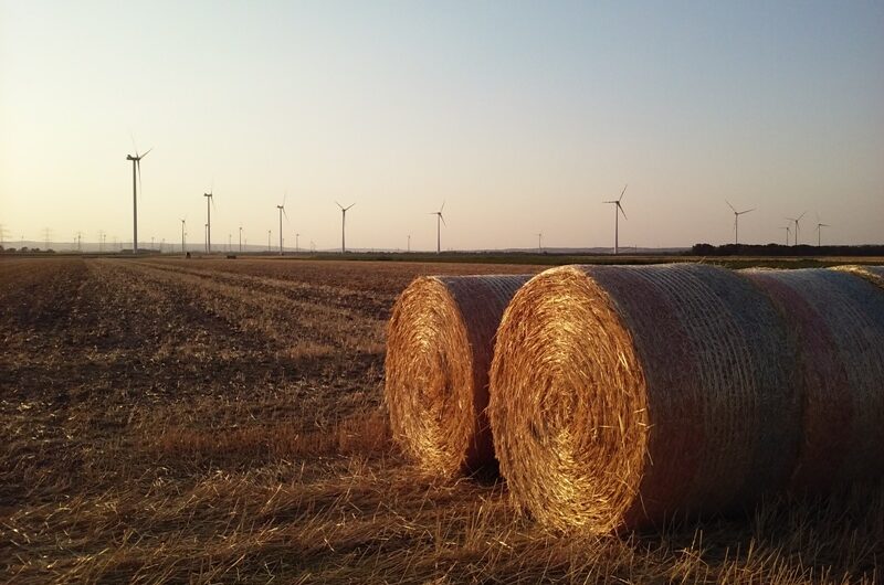 Feld beim Rußbachhof