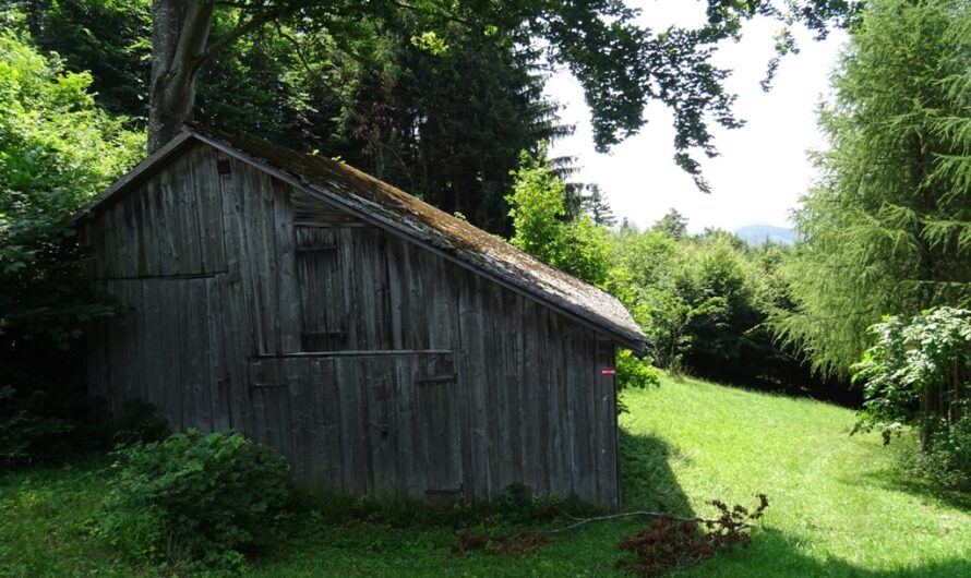 Schuppen bei Tiefenbach