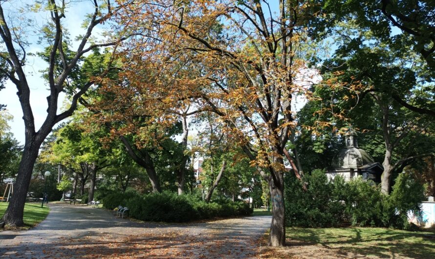 Herbst im Matznerpark