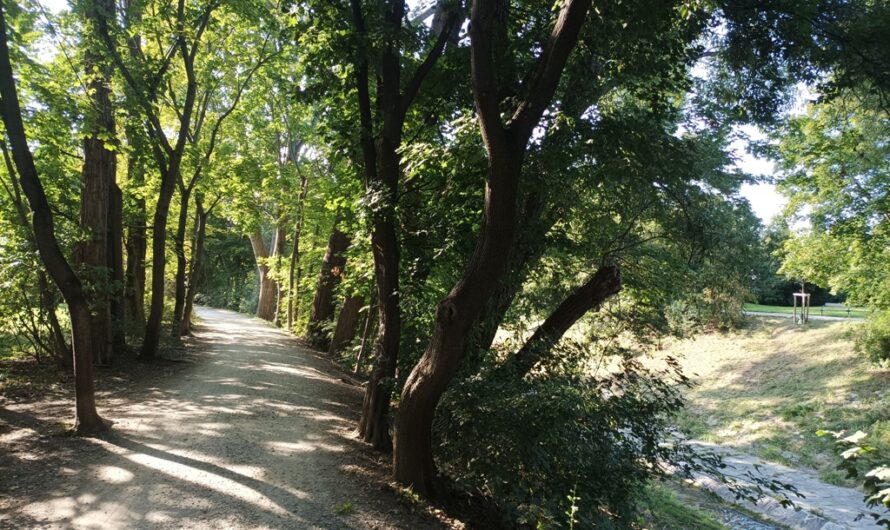 Spätsommer am Liesingbach