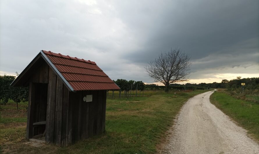 Weinberghütte bei Bockfließ