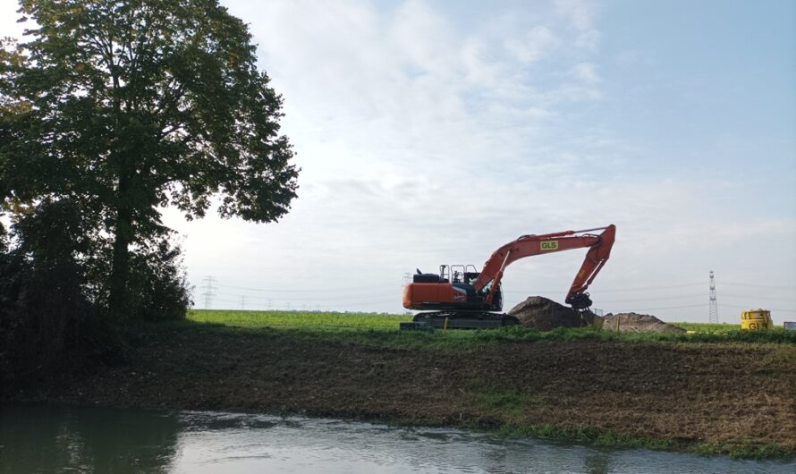 Buddeln am Marchfeldkanal