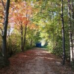 Herbst beim blauen Container