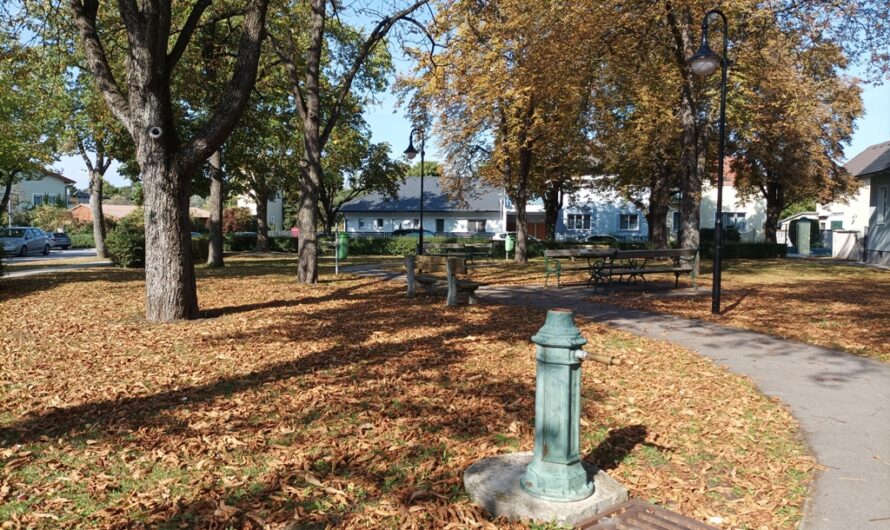 Herbst im Schubertpark