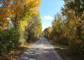 Herbstlicher Marchfeldkanalradweg