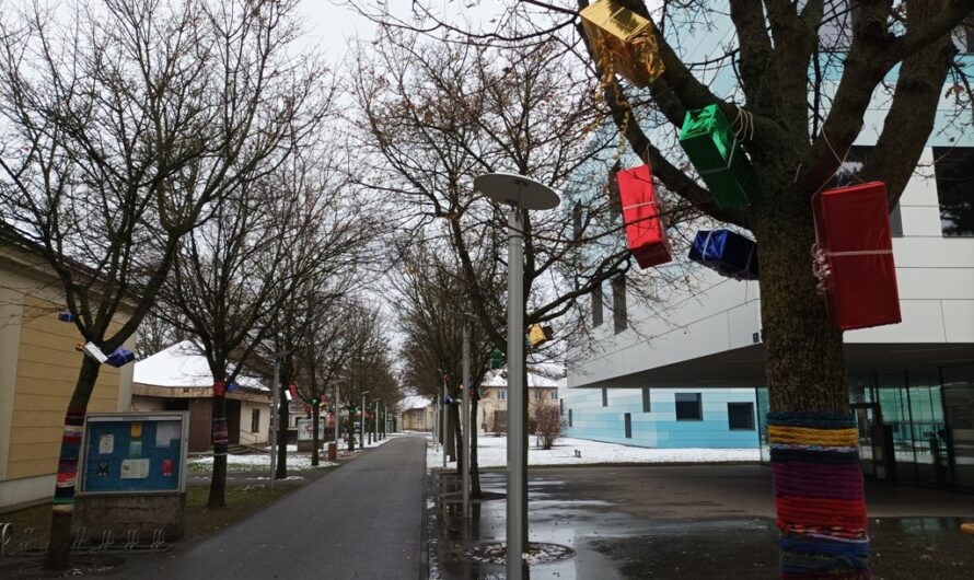 Geschenke an Bäumen