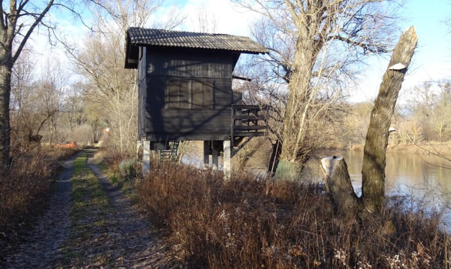 Fischerhütten bei Angern an der March