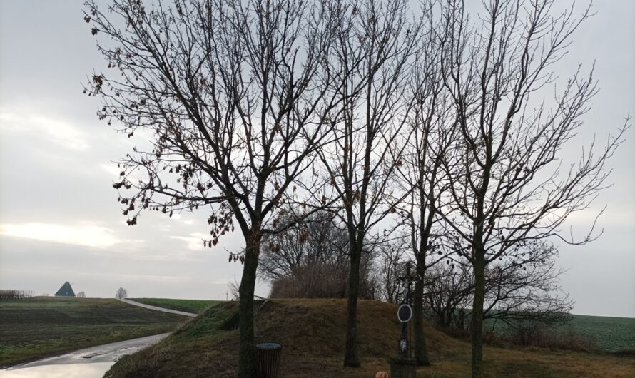 Beim Vogtkreuz am Goldberg