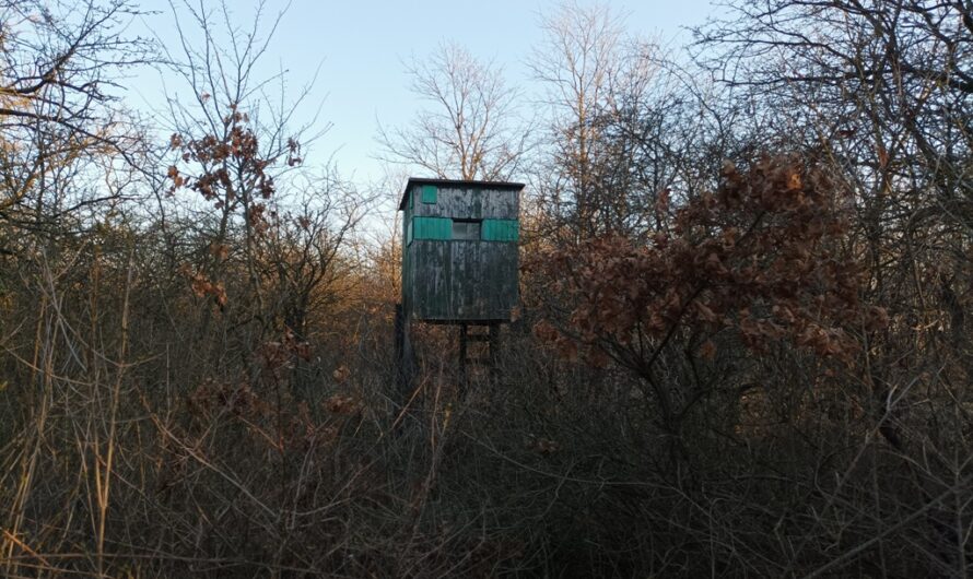 Hochsitz im Wagramer Wald