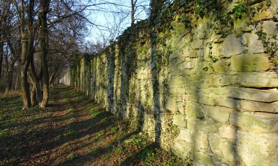 Alte Stadtmauer