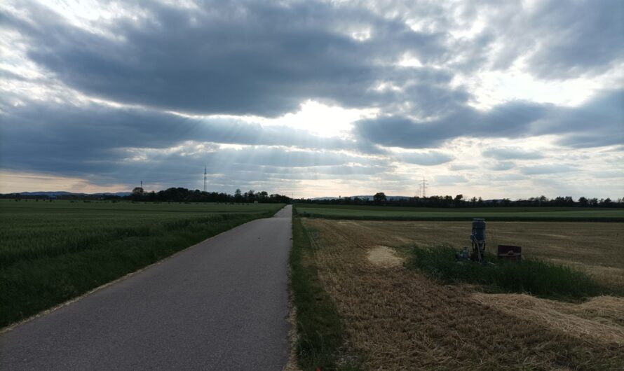 Abendwolken im Marchfeld