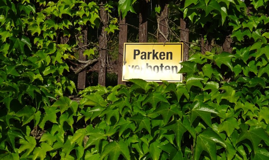 Parken verboten