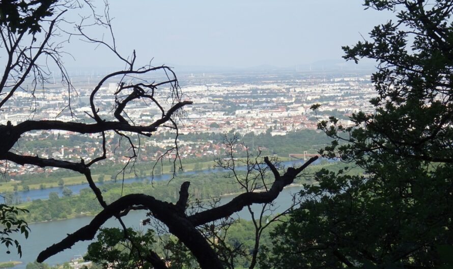 Donaublick vom Stadtwanderweg 1