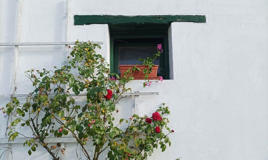 Fenster am Raggendorfer Kellerberg