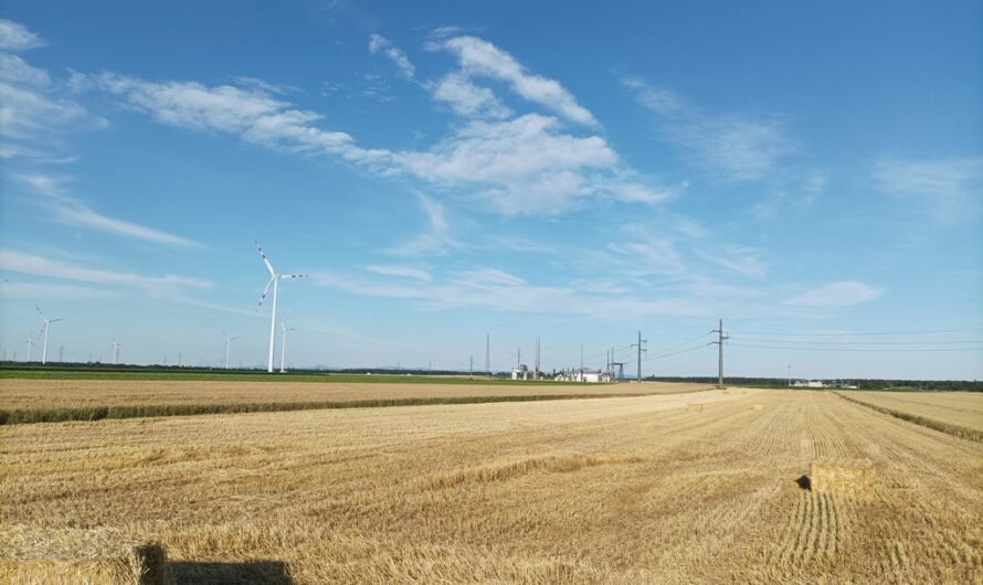 Stroh und Windräder