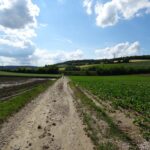 Steinbergweg bei Neubau-Kreuzstetten