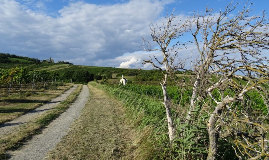 Zur Weinbergkapelle