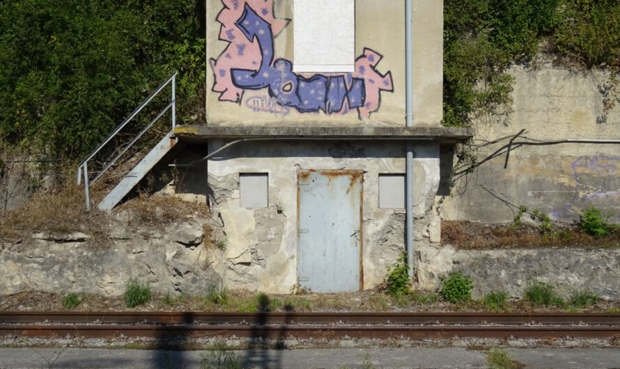 Am Bahnhof Bad Deutsch-Altenburg