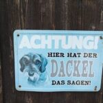 Dackel hat das Sagen