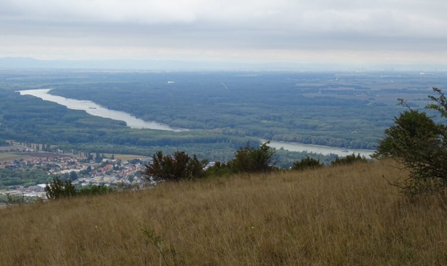 Bilder vom Hundsheimer Berg