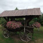 Blumenwagen der Pferdehaltung