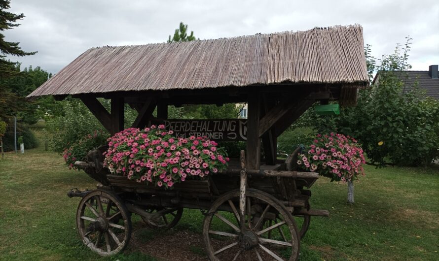 Blumenwagen der Pferdehaltung