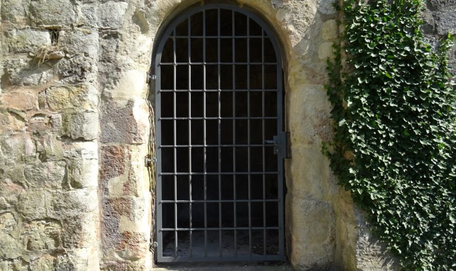 Tor in der Hainburger Stadtmauer