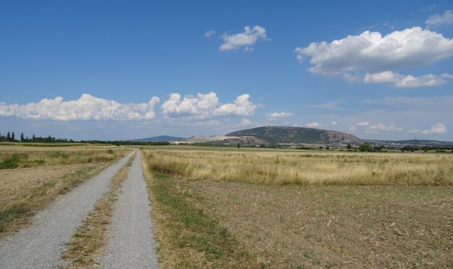 Wanderweg Richtung Hainburger Berge