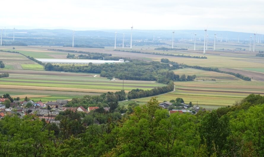 Windräder hinter Hundsheim