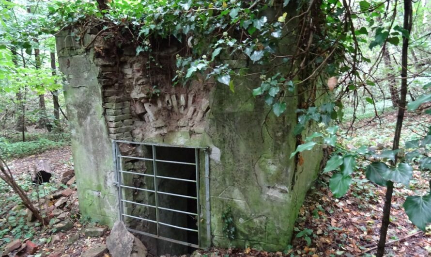 Bunker bei Hainburg
